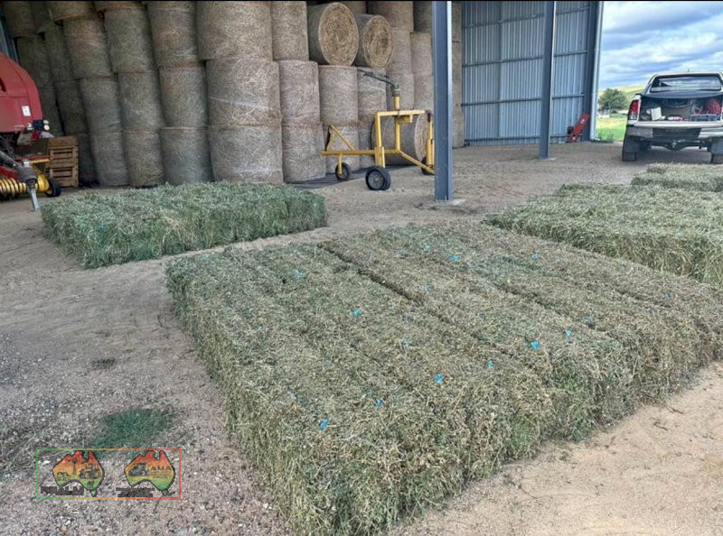 (8682) Small prime lucerne square bales weighting at 25kg each $22 plus gst per bale 300 available - photo 3
