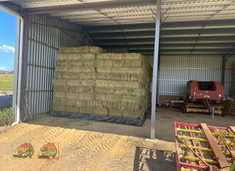 (8682) Small prime lucerne square bales weighting at 25kg each $22 plus gst per bale 300 available - photo 2