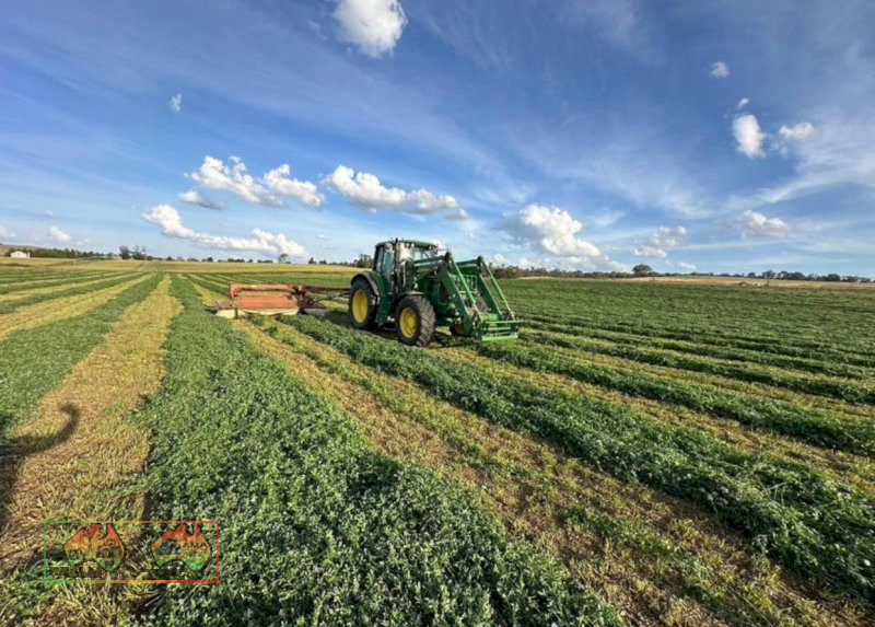 (8682) Small prime lucerne square bales weighting at 25kg each $22 plus gst per bale 300 available